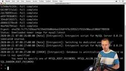 The Complete Practical Docker Guide - Starting MySQL Container with env Variable Instructional Video