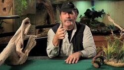 7 Care Tips for Basilisks Instructional Video