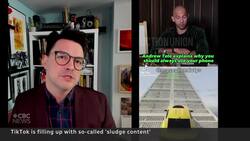‘Sludge content’ invades TikTok feeds News Clip
