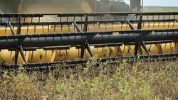 Tractor harvesting agriculture in 120fps slow-motion Stock Footage