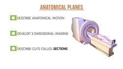 Understanding Anatomical Planes Instructional Video
