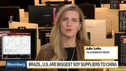 Brazil's Soybeans Premiums Win Big From U.S.-China Trade Battle News Clip