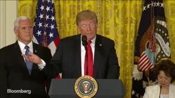 Trump Says the U.S. 'Will Not Be a Migrant Camp' News Clip