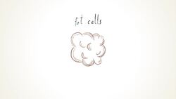 TED-Ed: Is it possible to lose weight fast? | Hei Man Chan Instructional Video