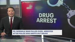 Cocaine and ecstasy found by police K-9 in Norwalk traffic stop News Clip