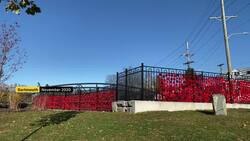 Thousands of crocheted poppies on display in Dartmouth News Clip