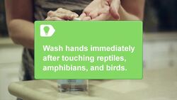 How to Prevent Salmonella Poisoning Instructional Video