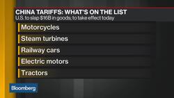 Trump Auto Tariffs to Hit U.S. Consumers 'Quite Hard,' Peterson's Lovely Says News Clip