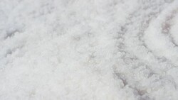 in an Italian professional kitchen a chef pours salt on a dish or in the water to boil the Italian pasta concept of healthy and light food. Stock Footage
