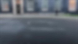 Downing Street cat in near-miss with pigeon News Clip