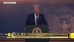 US President Donald Trump speaks at World Economic Forum News Clip