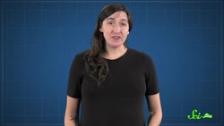 Why Do Some Doctors Still Use Bloodletting? Instructional Video