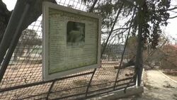 CLEAN : Charred trees, buildings after Algeria forest fires News Clip