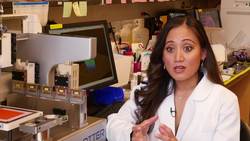 New, printable and flexible ceramic bone grafts could be a game changer - Science Nation Instructional Video