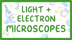 GCSE Biology - What Is The Difference Between Light And Electron Microscopes? #6 Instructional Video