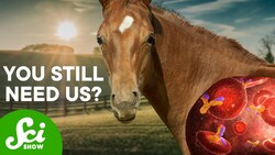 A Universal Cure for Snake Bites? Instructional Video