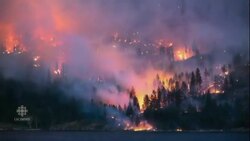 Wildfire situation stable in B.C., but bad conditions await News Clip