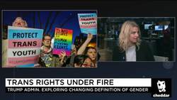 GLAAD President Calls Transgender Policy Proposal a 'Civil Rights Crisis' News Clip