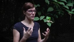 VOICED : The fight against extinction for pangolins in Liberia News Clip