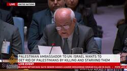 At UNSC, Palestine envoy demands action: 'Stop dehumanising our people' News Clip