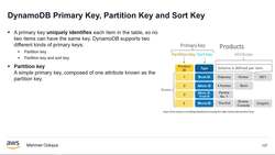AWS Serverless Microservices with Patterns and Best Practices - AWS DynamoDB Primary Key, Partition Key, and Sort Key Instructional Video