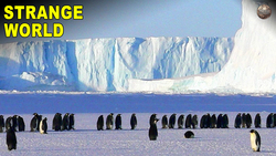 Bizarre Geography Facts From Around the World Instructional Video