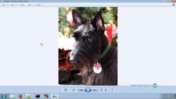 C++ for Beginners - Objects and Inheritance Instructional Video