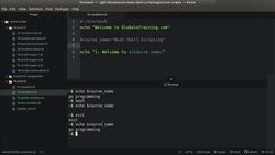 Bash Shell Scripting - Global variables, and Variable Scope Instructional Video