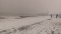 People walk on beach  through snow storm News Clip