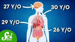 You Have Four Ages Instructional Video