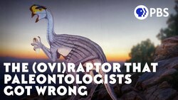 The (Ovi)Raptor That Paleontologists Got Wrong Instructional Video