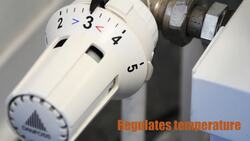 How Does Temperature Regulation In An Electric Iron Work? Instructional Video