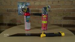 Bear spray, large knives, machetes could be seized by police under proposed Sask. law News Clip