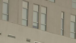 CLEAN : Coronavirus: Soldiers enforce curfew in Ecuador as deaths mount News Clip