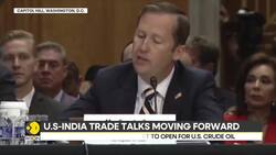 India-US trade deal: Trump's South Asia envoy says deal could be done in weeks News Clip