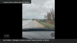 Budget blames tire thieves for unsafe vehicle News Clip