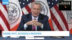 Newsy's Latest Headlines News Clip