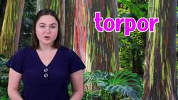 The Complexities of Hibernation: Understanding Animal Dormancy Instructional Video