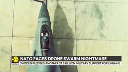 Poland-Russia tensions: Russia dismisses Western 'rhetoric' about drones in Poland News Clip