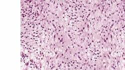 Cells and tissues Instructional Video