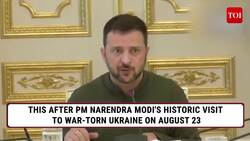 Zelensky Criticises India's Neutral Stance on Russia-Ukraine Conflict Instructional Video