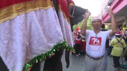 Elephants spread Christmas cheer at Thai school Instructional Video