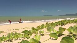 Bushwhacked! - Series 2 - Episode 9 (Box Jellyfish) Instructional Video