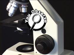 Lab Equipment Safety: Care of the Microscope Instructional Video