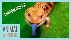 Blueberry's Special New Home Instructional Video