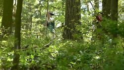 Revolutionary War soldiers firing muskets in woods Stock Footage