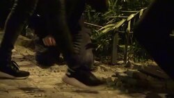 CLEAN : Violent clashes erupt in Barcelona as half a million separatists rally News Clip