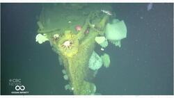 Why there is renewed hope we might find MH370 News Clip