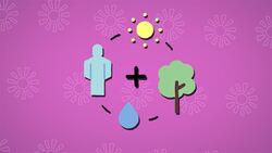 I Wonder - Is Bio Energy A Renewable Energy Source? Instructional Video