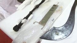 CLEAN : Germany hands back looted artefacts to Nigeria News Clip